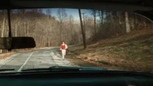 Задник к фильму "Розовые фламинго" #612051