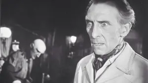 Задник к фильму "Дом, где стекает кровь" #393863