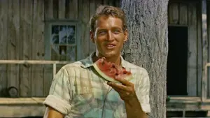 Задник к фильму "Долгое жаркое лето" #438928