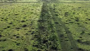 Задник к фильму "2000 Meters to Andriivka" #539424