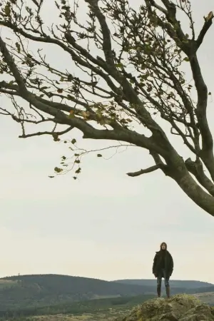 Постер к фильму "Нимфоманка: Часть 2" #504187