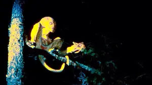 Задник к фильму "Тыквоголовый" #293100