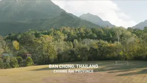 Задник к фильму "13 жизней" #431676