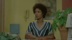 Задник к фильму "Черный шампунь" #498427