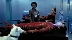 Задник к фильму "Клетка" #710658