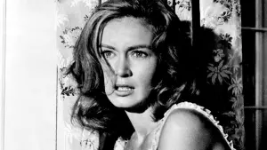 Задник к фильму "Параноик" #499935