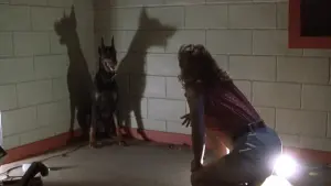 Задник к фильму "Зодчий теней" #496625