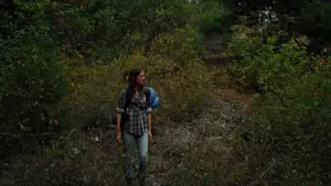 Задник к фильму "Уиллоу Крик" #462367