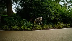 Задник к фильму "Бугония" #511680