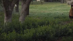 Задник к фильму "" #444275