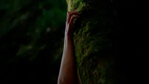 Задник к фильму "" #416379