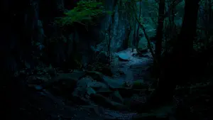 Задник к фильму "" #416380