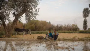 Задник к фильму "" #384624