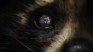 Задник к фильму "Стражи Галактики. Часть 3" #162176