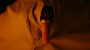 Задник к фильму "Пожиратель птиц" #664049