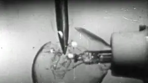 Задник к фильму "Репортаж" #741633