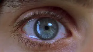 Задник к фильму "Реквием по мечте" #179643