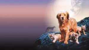 Задник к фильму "Бенджи потерялся" #415124