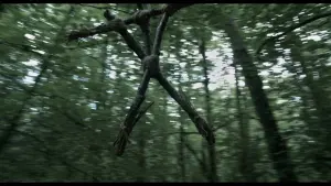 Задник к фильму "Проклятие Ведьмы из Блэр" #400226