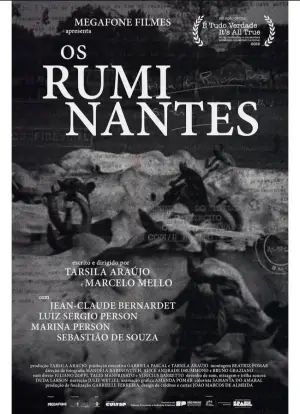Os Ruminantes