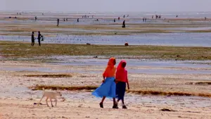 Задник к фильму "" #196930