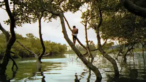 Задник к фильму "Город бога" #606946