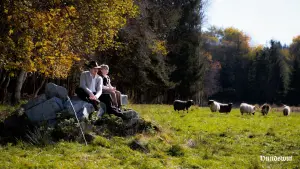 Задник к фильму "" #365572