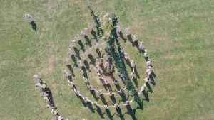 Задник к фильму "Солнцестояние" #589014