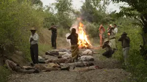 Задник к фильму "Перелётные птицы" #469419