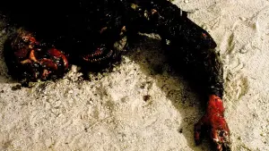 Задник к фильму "Паразит" #381451