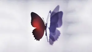 Задник к фильму "Бегущая от реальности" #446009