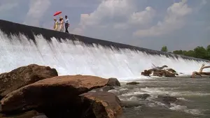 Задник к фильму "Жареные зеленые помидоры" #201269