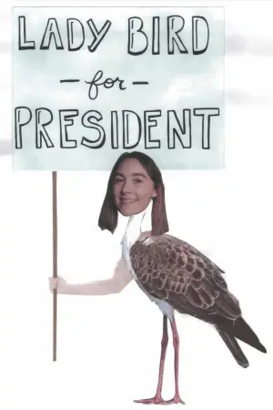 Постер к фильму "Леди Бёрд" #638857