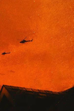 Постер к фильму "Белый шум" #376224