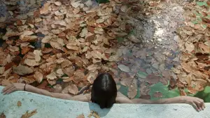 Задник к фильму "И твою маму тоже" #698353