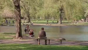 Задник к фильму "Умница Уилл Хантинг" #579937