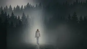 Задник к фильму "Девушка в тумане" #263871