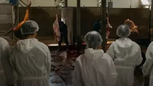 Задник к фильму "" #472888