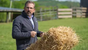 Задник к фильму "Честный кандидат" #304675