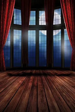 Постер к фильму "Семейка Аддамс" #275474