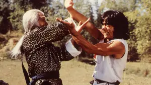 Задник к фильму "Бесстрашная гиена" #382336