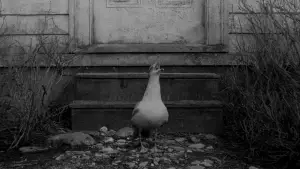 Задник к фильму "Маяк" #628638