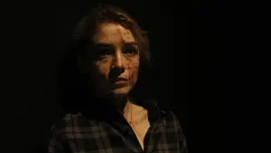 Задник к фильму "Не буди в ней зверя" #419665