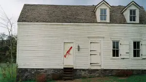 Задник к фильму "Таинственный лес" #728831