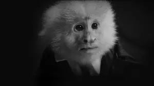 Видео к фильму Что сделал Джек? | Netflix - David Lynch's What Did Jack Do  - Toototabon Love Song