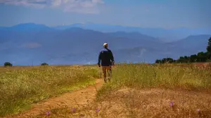 Задник к фильму "" #645583