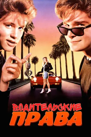 Постер к фильму "Водительские права" #146599