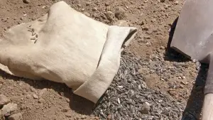 Задник к фильму "Клад" #673759