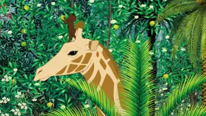 Задник к фильму "Кирику и дикие звери" #470302