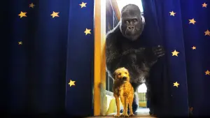 Задник к фильму "Айван, единственный и неповторимый" #216896